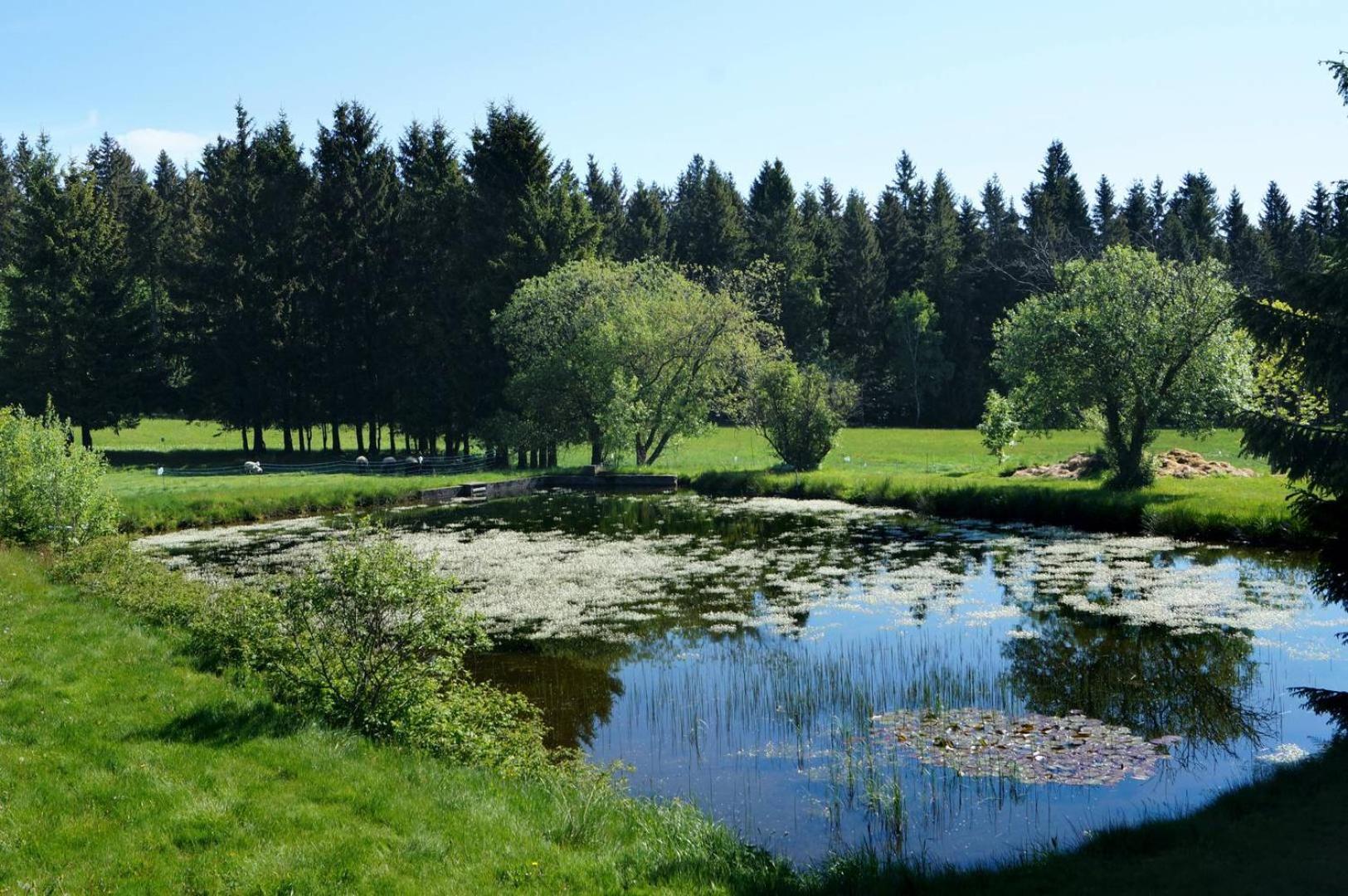 Kammbaude Neuhermsdorf Exteriör bild