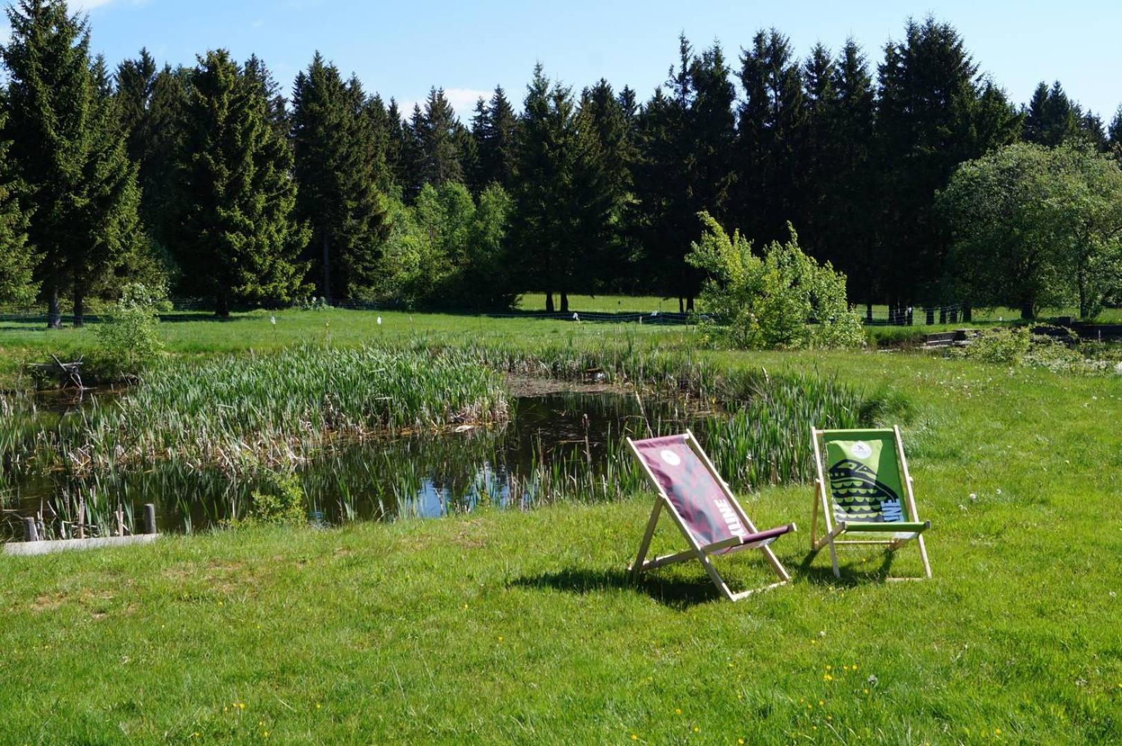 Kammbaude Neuhermsdorf Exteriör bild